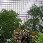 jardim-de-inverno-pequeno-13
