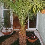 jardim-de-inverno-pequeno-22