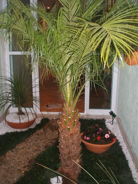 jardim-de-inverno-pequeno-22