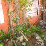 jardim-de-inverno-pequeno-5