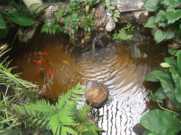 jardim-de-inverno-pequeno-8
