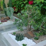 jardim-de-inverno-pequeno-9