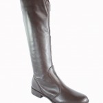 Botas-femininas-de-inverno-2012-10