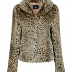 casaco-feminino-inverno-2012-6