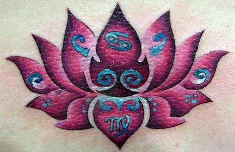 flor-de-lotus-11