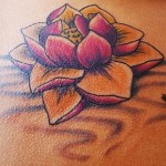 flor-de-lotus-14