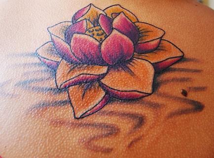 flor-de-lotus-14