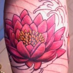flor-de-lotus-18