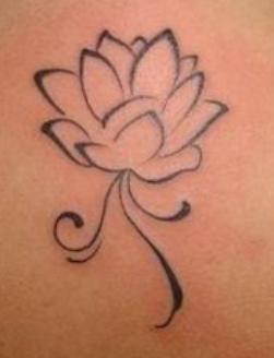 flor-de-lotus-3
