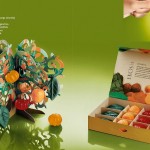 natura-kit-natal-9
