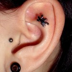 piercing-no-tragus-11