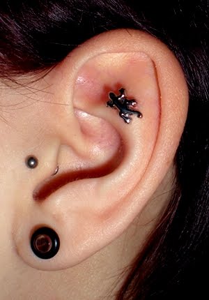 piercing-no-tragus-11