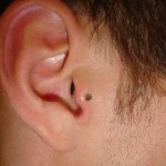 piercing-no-tragus-15