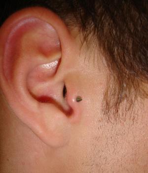 piercing-no-tragus-15
