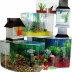 aquario-de-peixes-10
