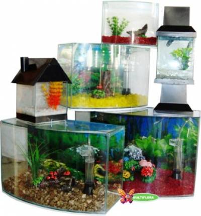 aquario-de-peixes-10