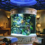 aquario-de-peixes-11