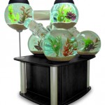 aquario-de-peixes-13