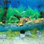 aquario-de-peixes-4