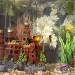 aquario-de-peixes-6