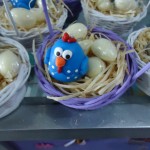 festa-infantil-galinha-pintadinha-11