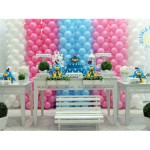 festa-infantil-galinha-pintadinha-15