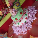 festa-infantil-moranguinho-1