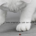 frases-tati-bernardi-18