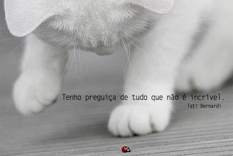 frases-tati-bernardi-18