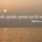 frases-tati-bernardi-19