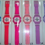 champion-yot-12