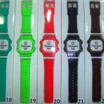 champion-yot-14