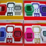 champion-yot-15
