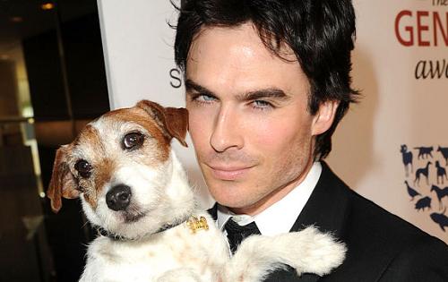 Ian Somerhalder