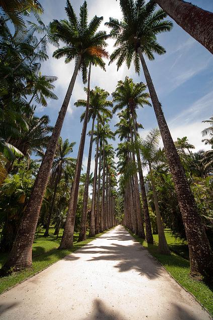 Jardim Botânico
