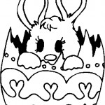 desenho-de-coelho-da-pascoa-para-colorir-12