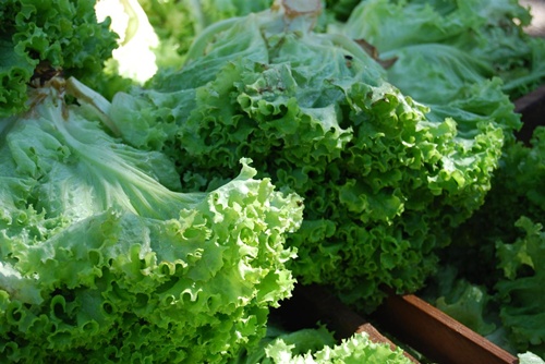 Alimentos sem Carboidratos